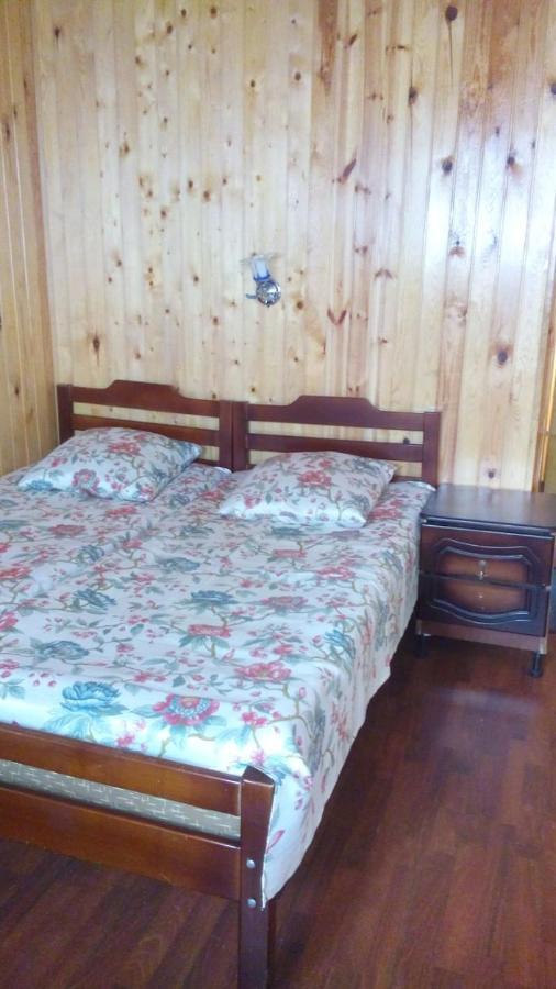 Guest House On Apskha Leona 12 ガグラ エクステリア 写真